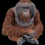 Vivid Arts Real Life Orangutan – Size D