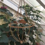 Elegance Rustic Hanging Basket