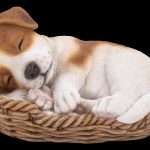Vivid Arts Pet Pals Jack Russell Puppy/Basket – Size F