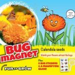 Calendula Seeds – Bug Magnet (Daisy Mix)