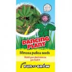 Sensitive Seeds – Dancing Plant (Mimosa pudica)
