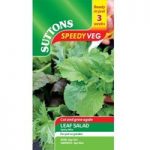 Speedy Veg Seed – Leaf Salad Spicy Mix