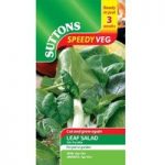 Speedy Veg Seed – Leaf Salad Stir Fry Mix