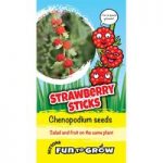 Chenopodium Seeds – Strawberry Sticks