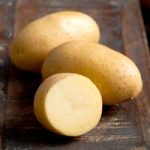 Potato Plants Adessa