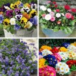 Our Selection Winter/Spring Bedding (54)