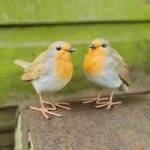 Pair of Robins