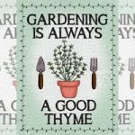 Gardening is Always A Good Thyme Sign