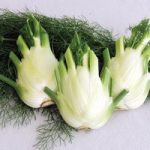 Florence Fennel (Organic) Seeds – Finale