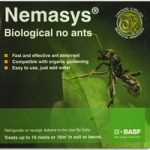 No Ants (Up to 16 Nests)