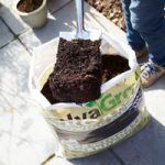 RHS SylvaGrow Organic Growing Medium (Peat Free)