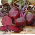 Beetroot Seeds – Boltardy