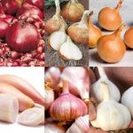 Bumper Autumn Planting Collection – Onion/Shallot/Garlic