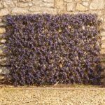 Expandable Artificial Hedge Trellis – Purple Lavender