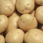 Seed Potatoes Organic Colleen 1kg