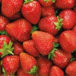 Strawberry  Elsanta