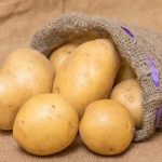Potato Seed Organic Record 1kg