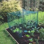 Fruit and Veg Cage