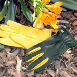 RHS Dry Touch Gloves