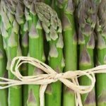 Asparagus Plant – Gijnlim