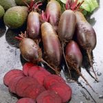 Beetroot Seeds – Cylindra