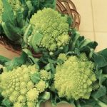 Cauliflower Seeds – Romanesco Early
