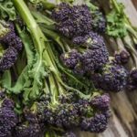 Broccoli Seeds – Purple Sprouting Continuity Mix