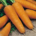 Carrot Seeds – Chantenay Red Cored 2