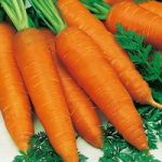 Carrot Seeds – Autumn King 2