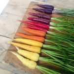 Carrot Seeds – Rainbow Mix