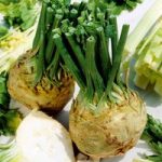 Celeriac Plants – Brilliant