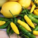 Pepper Chilli Seeds – Peruvian Lemon Drop