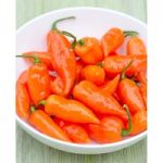 Pepper (Sweet/Chilli) Plants – Habanada