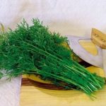 Herb Seeds – Coriander Confetti