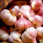 Garlic Bulbs – Edenrose