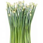 Herb Seed – Garlic Chives