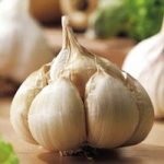 Garlic Bulbs – Messidrome