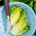 Lettuce Plants – Little Gem