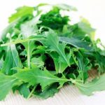 Leaf Salad (Organic) Seeds – Mizuna