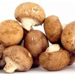 Mushroom Windowsill Kit – Chestnut