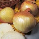 Onion Sets – Senshyu Yellow