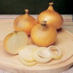 Onion Sets – F1 Centurion