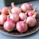 Onion Seeds – Isobel Rose