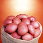 Seed Potato Organic Setanta 1kg