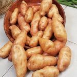Seed Potatoes – Pink Fir Apple