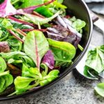 Bistro Salad Mix Plants