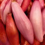 Shallot (Banana) Seeds – Simiane