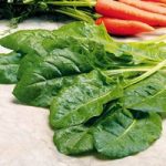 Leaf Beet (Organic) Seeds – Perpetual Spinach