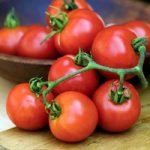 Tomato Seeds – Summer Frolic