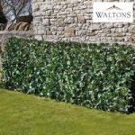 Rolled Ivy Fence Screening 1X3M